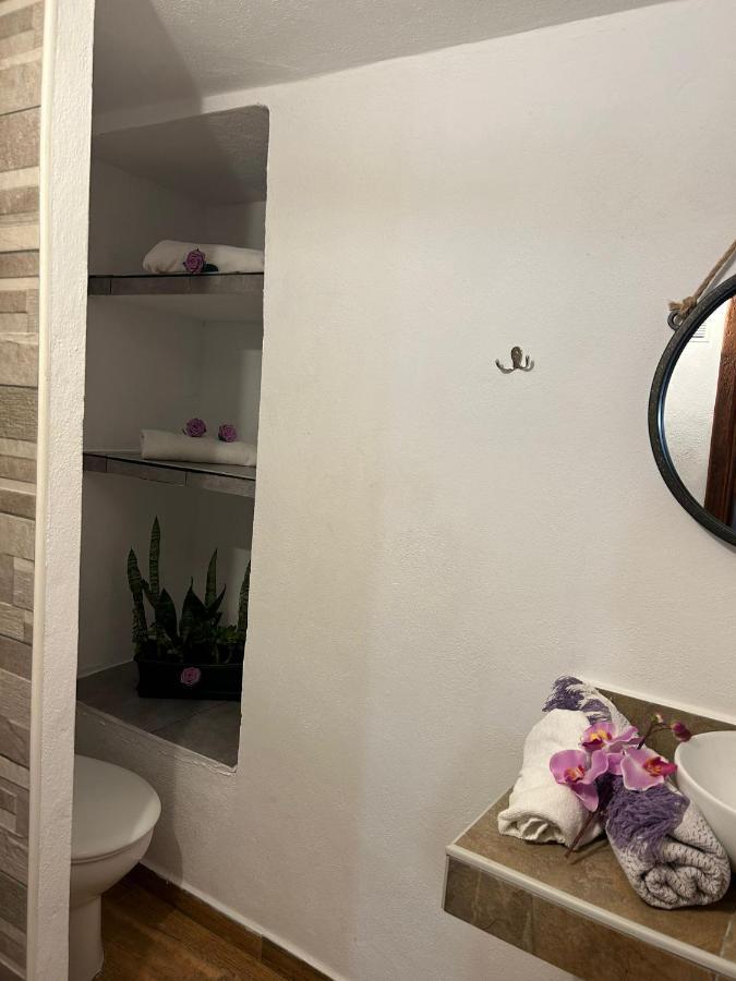 Tradicional Casa Canaria Con Piscina Y Vistas Al Teide 伊科德·德·洛斯·维诺斯 外观 照片