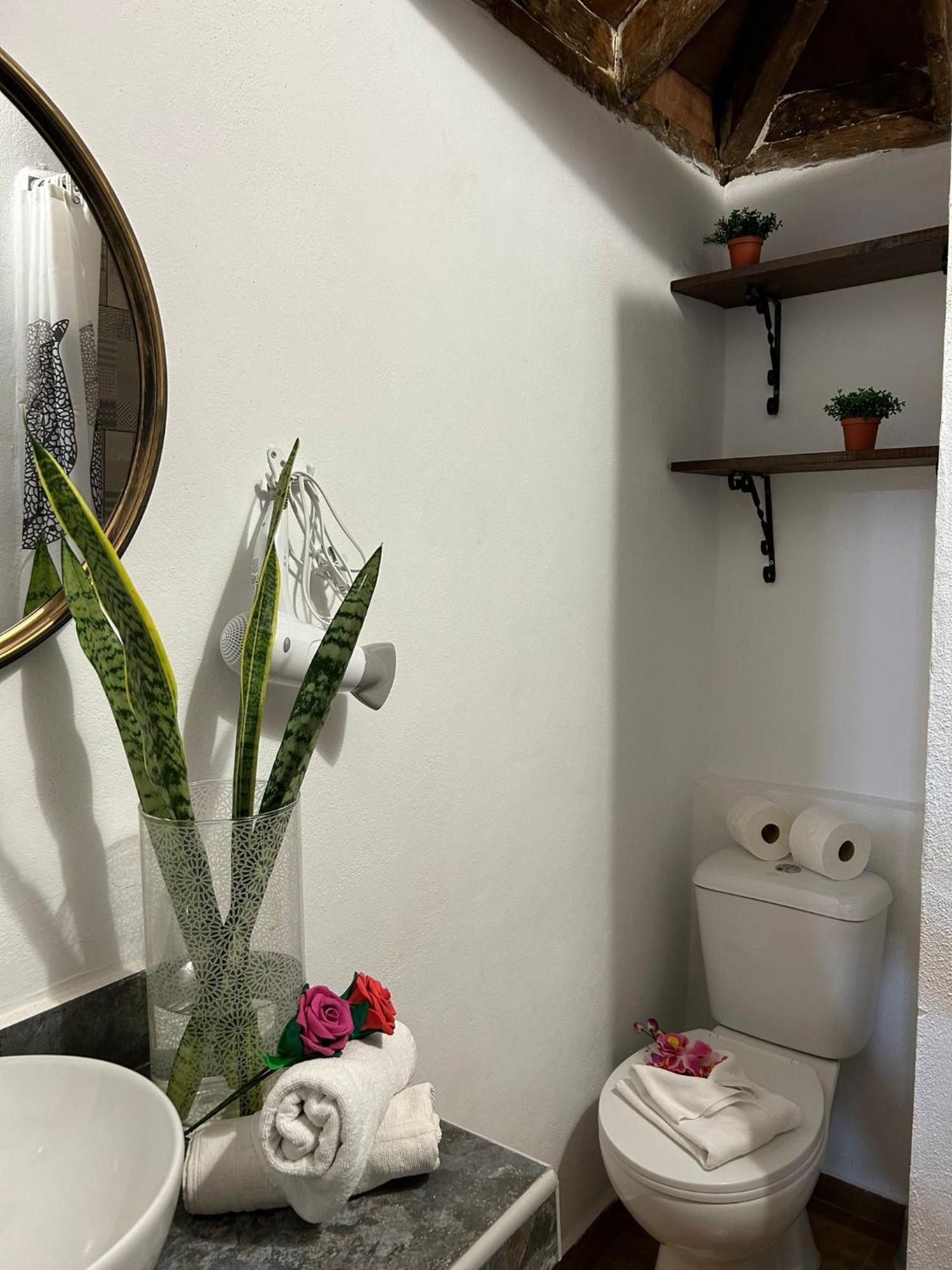 Tradicional Casa Canaria Con Piscina Y Vistas Al Teide 伊科德·德·洛斯·维诺斯 外观 照片