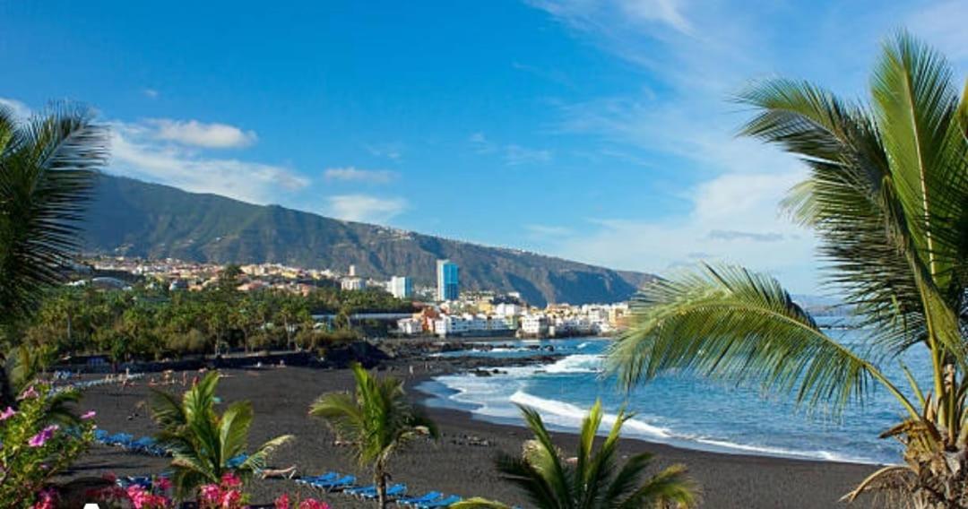 Tradicional Casa Canaria Con Piscina Y Vistas Al Teide 伊科德·德·洛斯·维诺斯 外观 照片